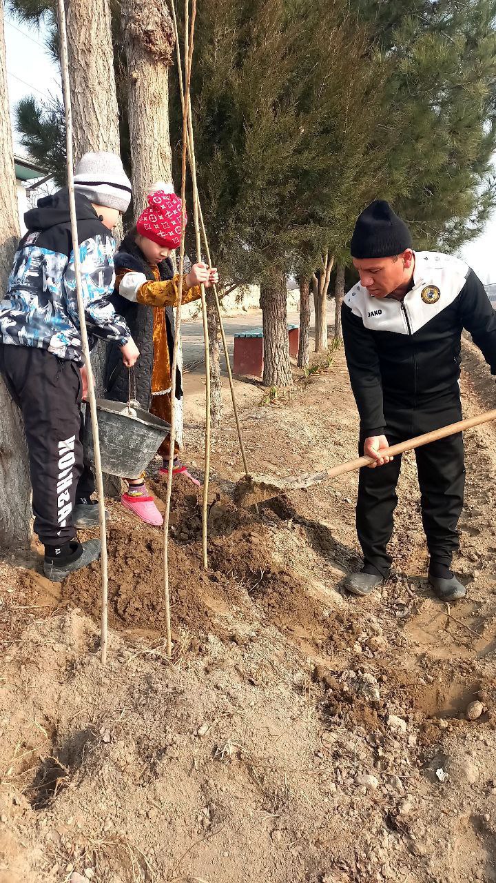 "Men xonadonimda koʻchat ekdim" chellenjiga start berildi.