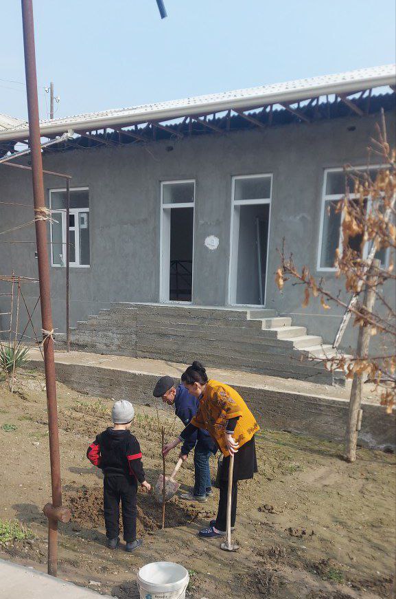 "Men xonadonimda koʻchat ekdim" chellenjiga start berildi.