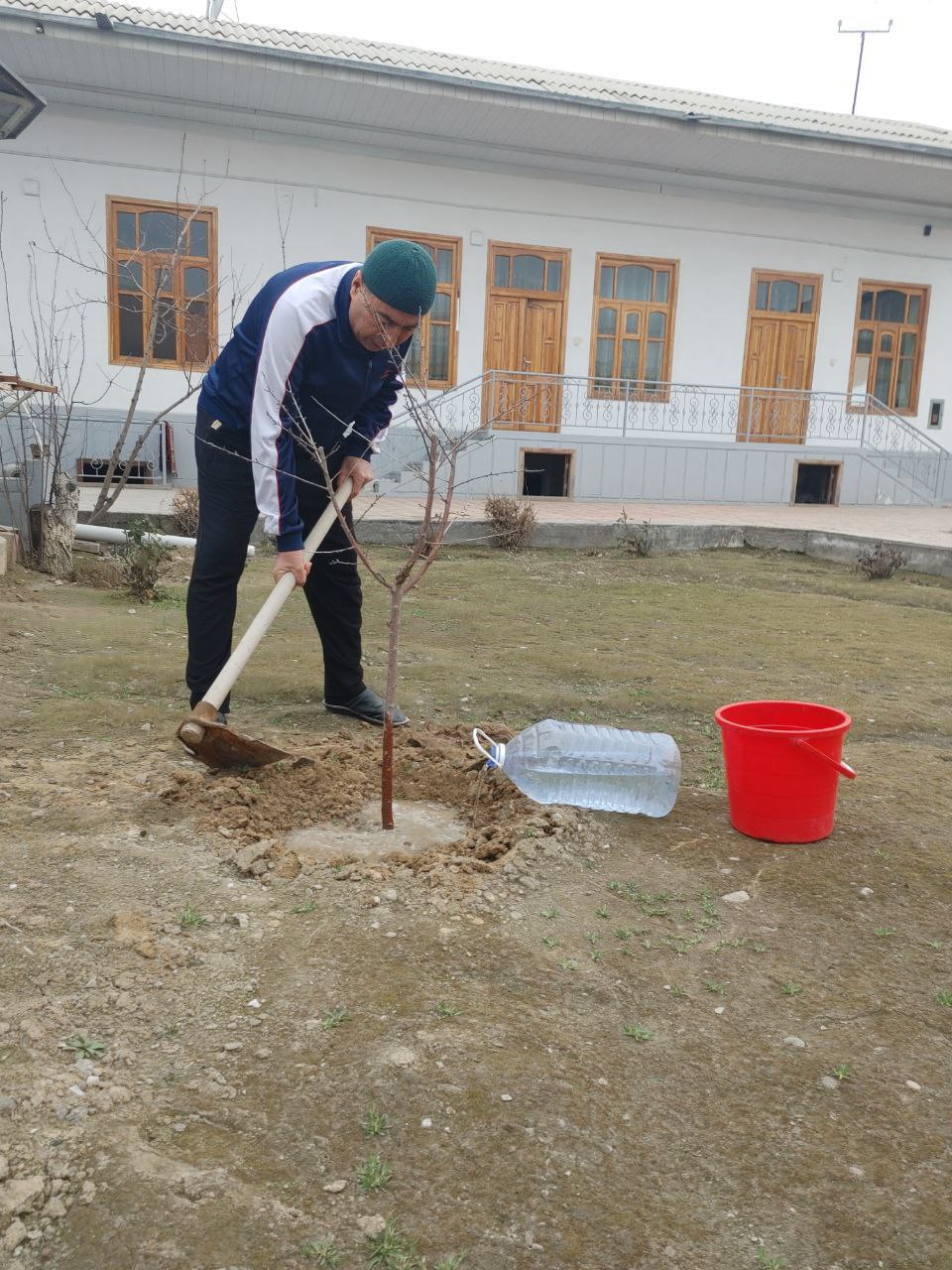 "Men xonadonimda koʻchat ekdim" chellenjiga start berildi.