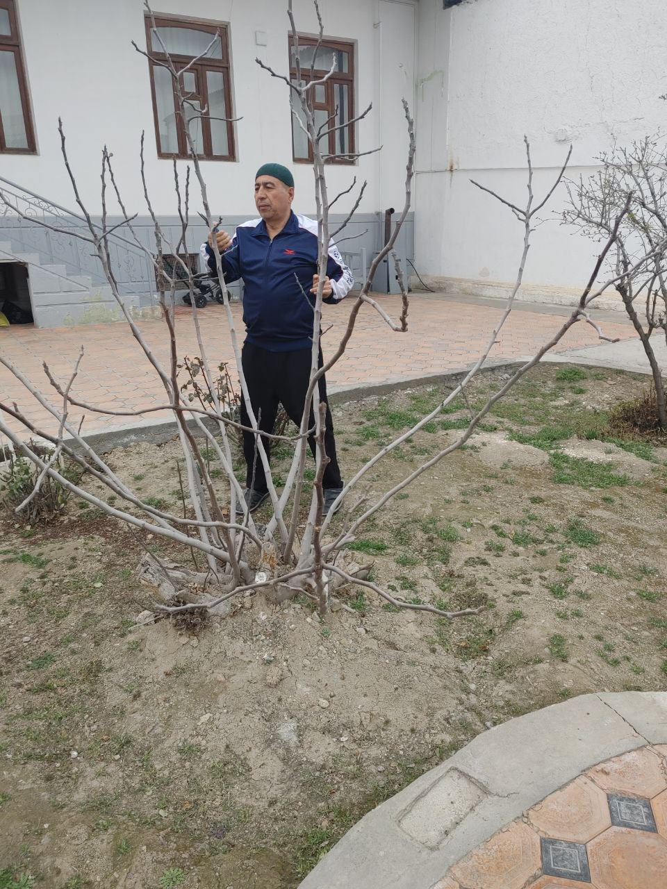 "Men xonadonimda koʻchat ekdim" chellenjiga start berildi.