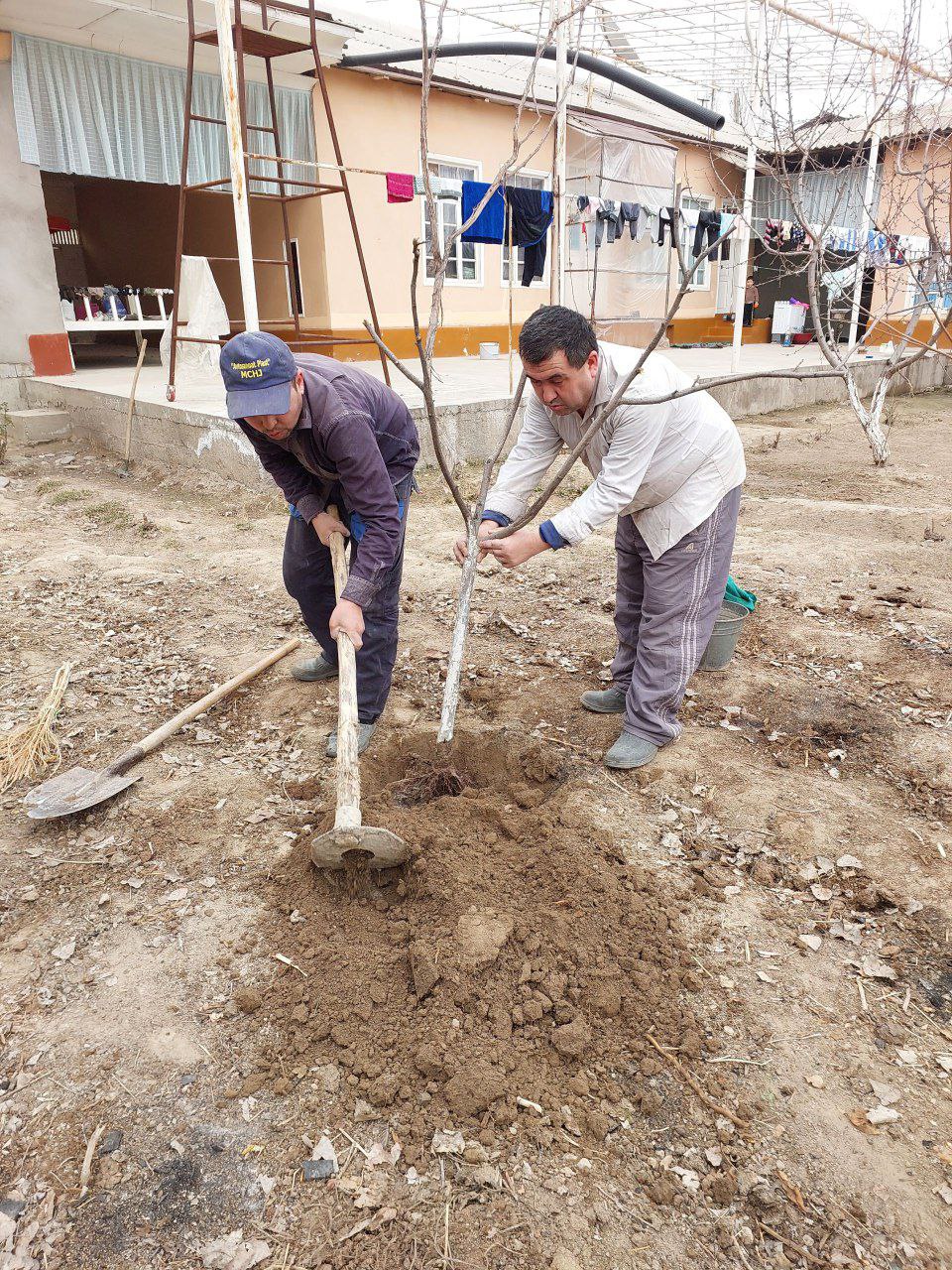 "Men xonadonimda koʻchat ekdim" chellenjiga start berildi.
