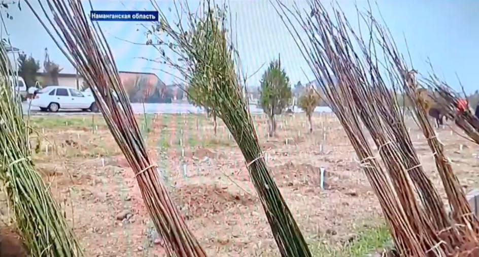 “Yashil makon” umummilliy loyihasi dasturi bo’yicha oliygohda amalga oshirilayotgan ishlar haqidagi intervyu
