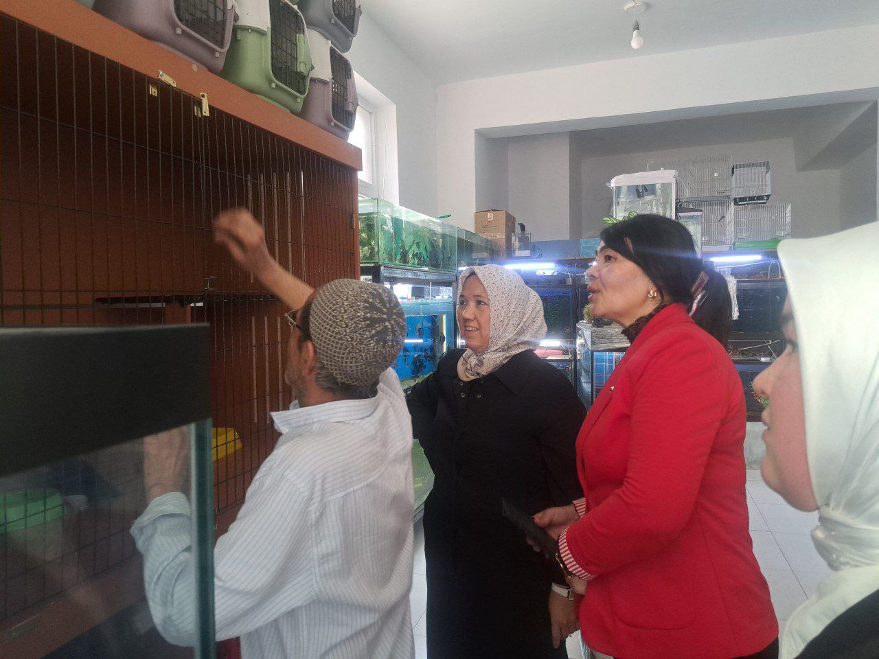 1-aprel — "Xalqaro qushlar kuni"