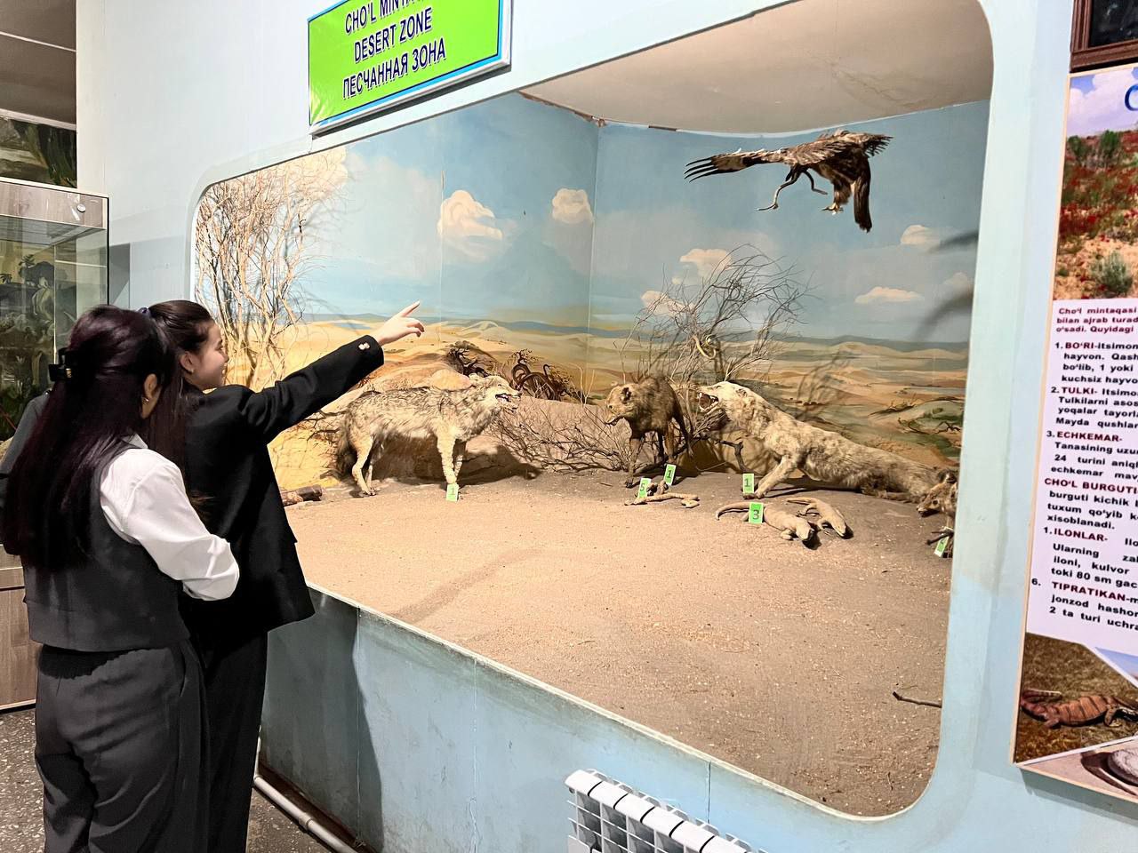 Talabalar tarix bilan yuzma-yuz