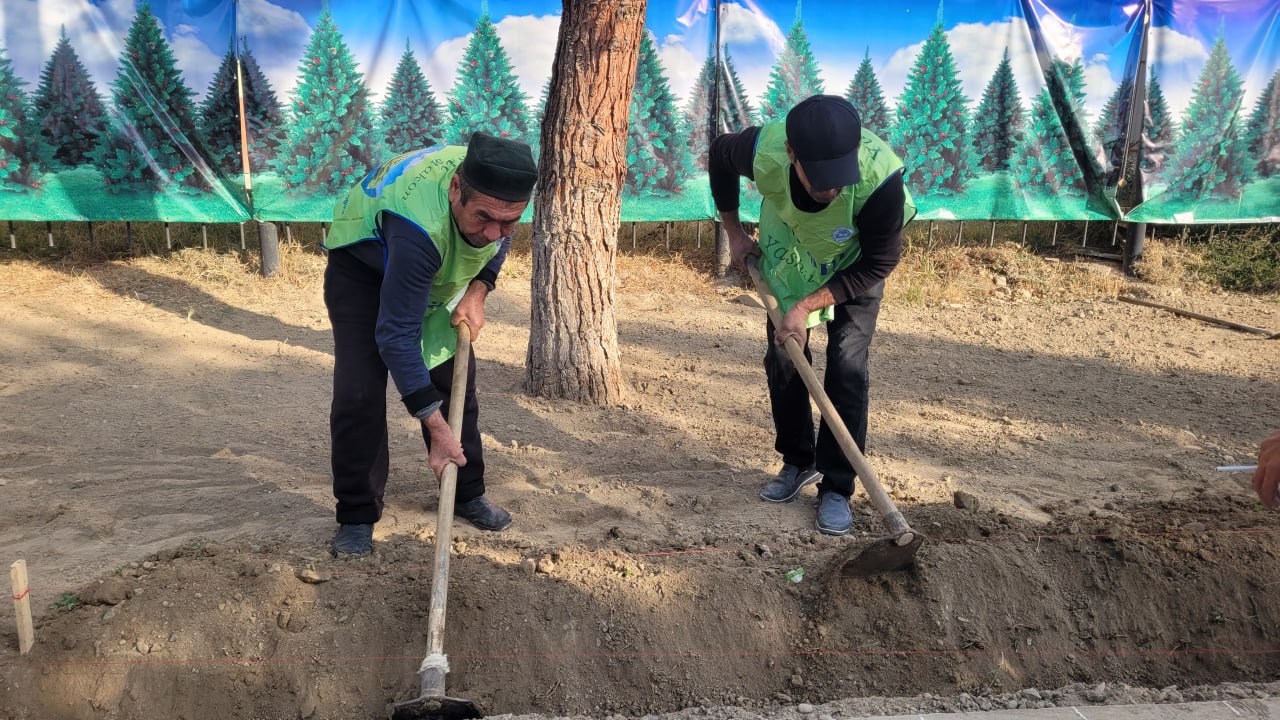 Namangan davlat pedagogika institutida ko‘kalamzorlashtirish ishlari avjida!