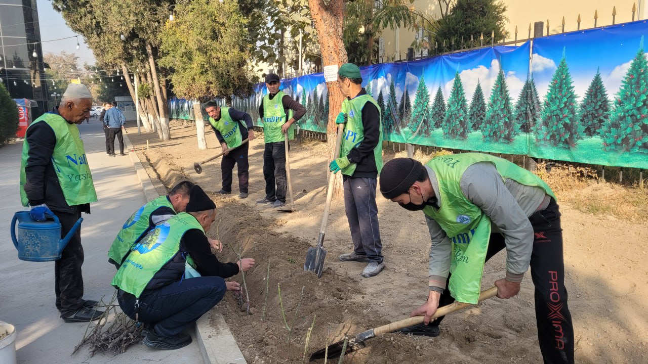 Namangan davlat pedagogika institutida ko‘kalamzorlashtirish ishlari avjida!