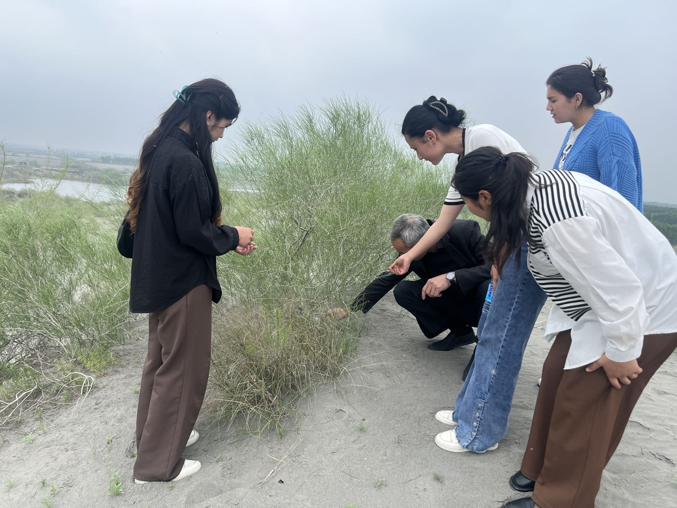 Mingbuloq tumanidagi “Oqqum” cho‘liga ilmiy ekspeditsiya amalga oshirildi