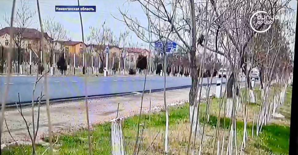 “Yashil makon” umummilliy loyihasi dasturi bo’yicha oliygohda amalga oshirilayotgan ishlar haqidagi intervyu