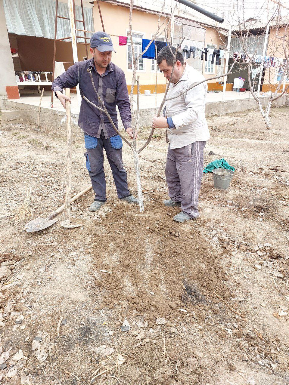 "Men xonadonimda koʻchat ekdim" chellenjiga start berildi.